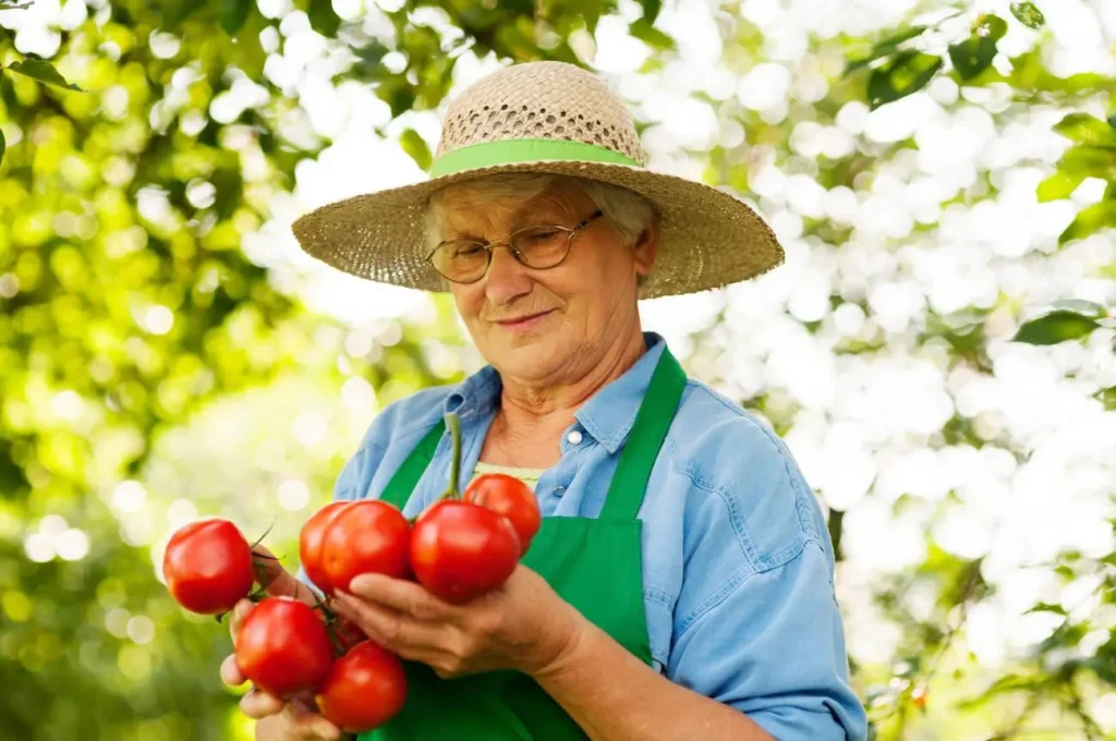 tomate de arbol