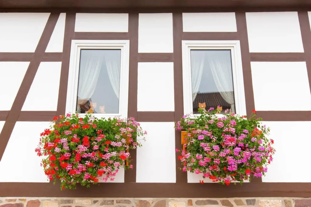 Colorful flower boxes adorning windows, enhancing the beauty of a home's exterior.