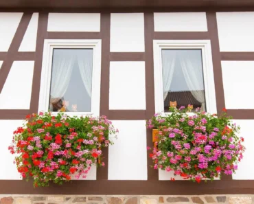 Flower Boxes for Windows: A Blend of Beauty and Nature