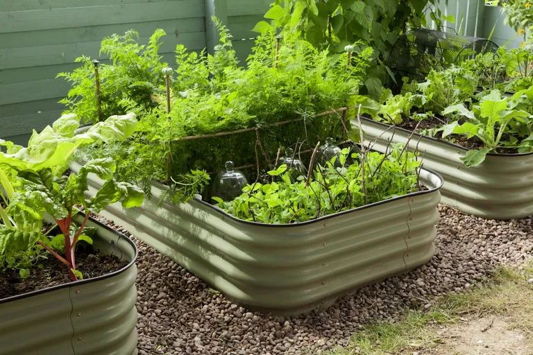 Planter box ideas