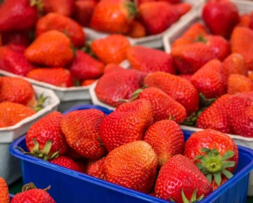What to Know About Strawberry Season to Get the Sweetest Fruit