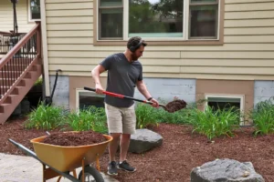 Rubber Mulch vs. Wood Mulch: What’s Best for Your Garden?
