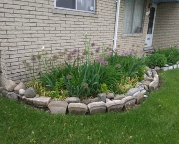 Using Large Landscaping Rocks for Your Garden