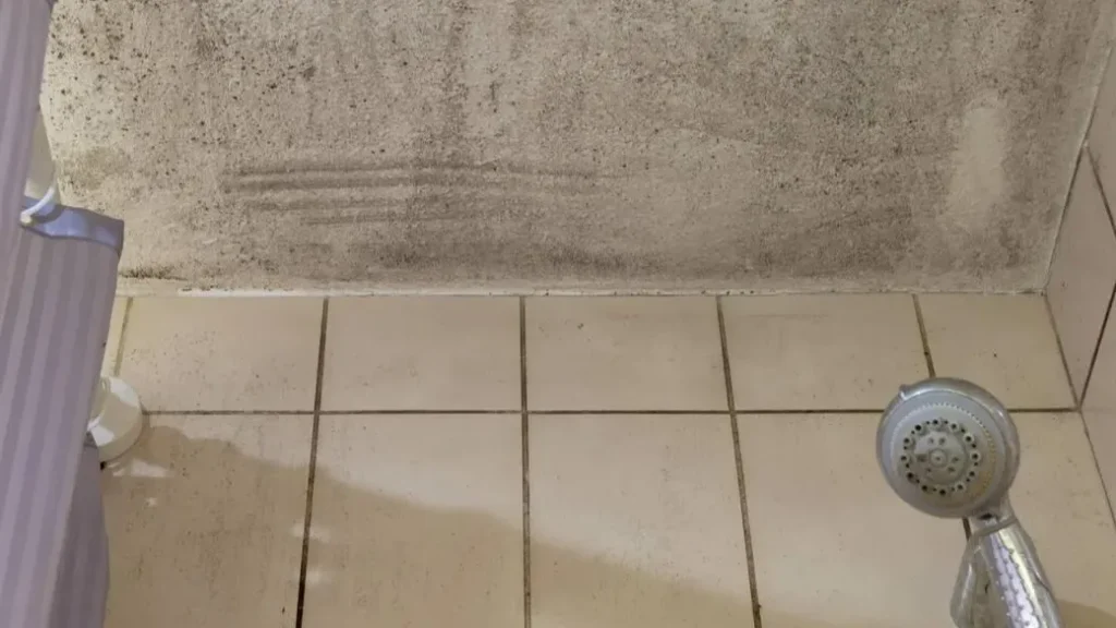 Mold on Bathroom Ceiling