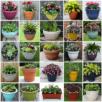 Winter Planter Ideas